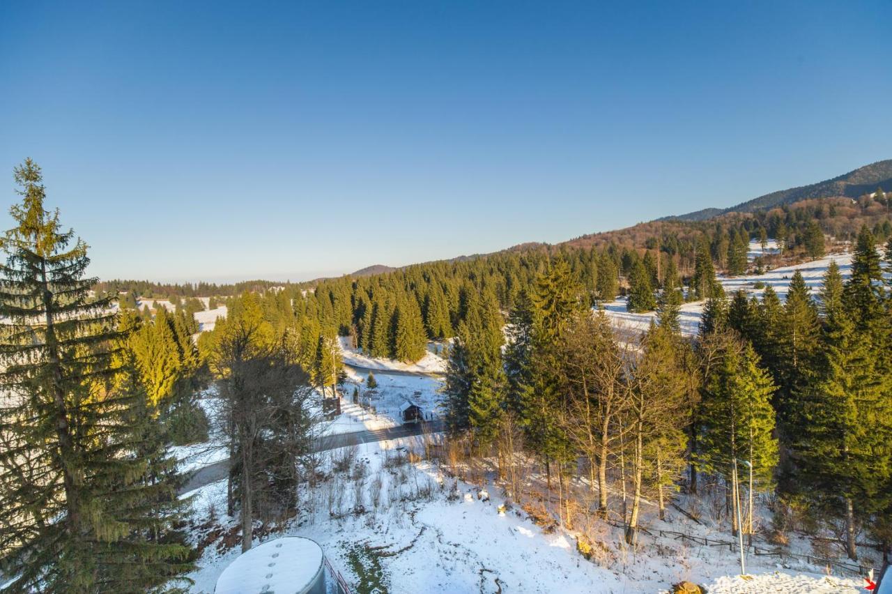 Forest Corner In Silver Mountain Of פויאנה ברשוב מראה חיצוני תמונה